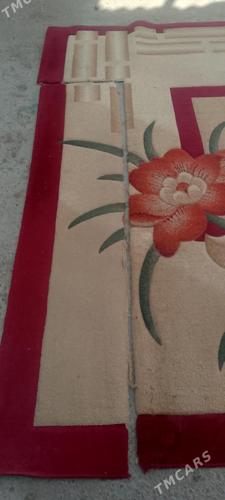 haly - Ашхабад - img 4