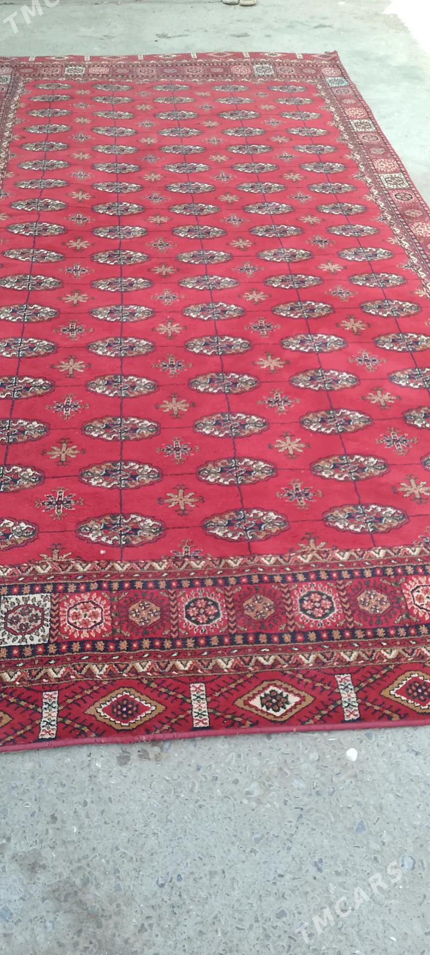 haly - Aşgabat - img 2