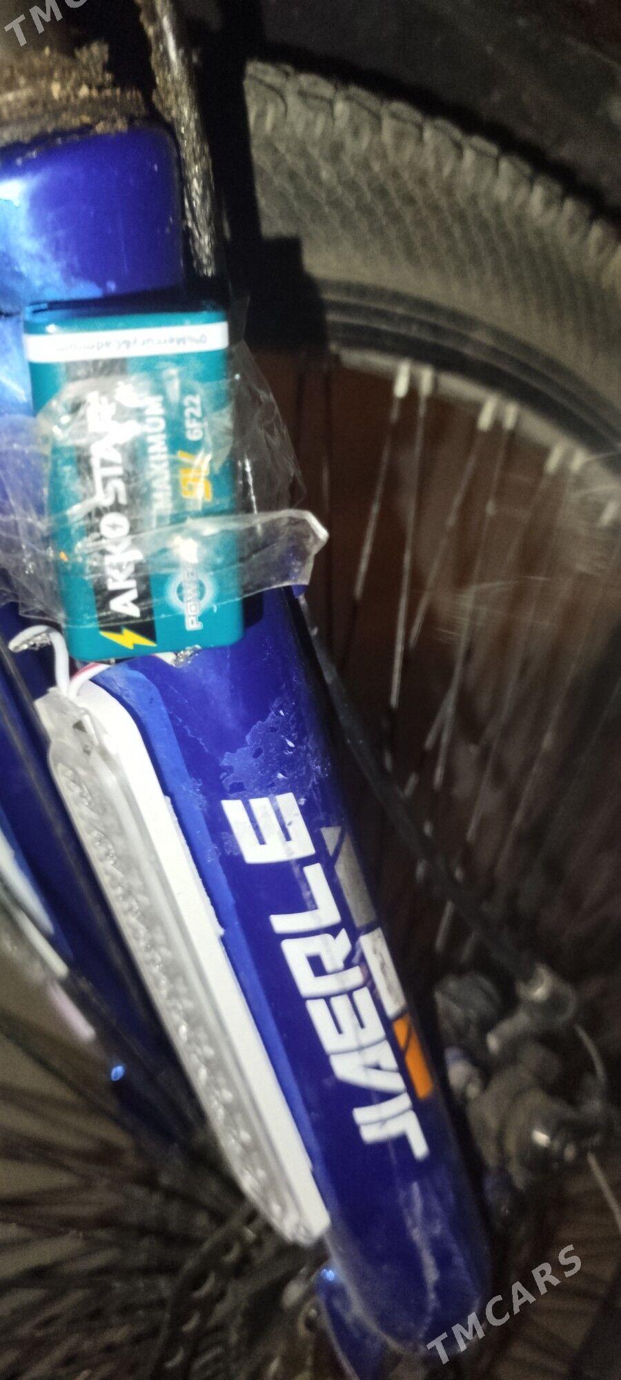 Welesipediň batyreýi - Туркменабат - img 2