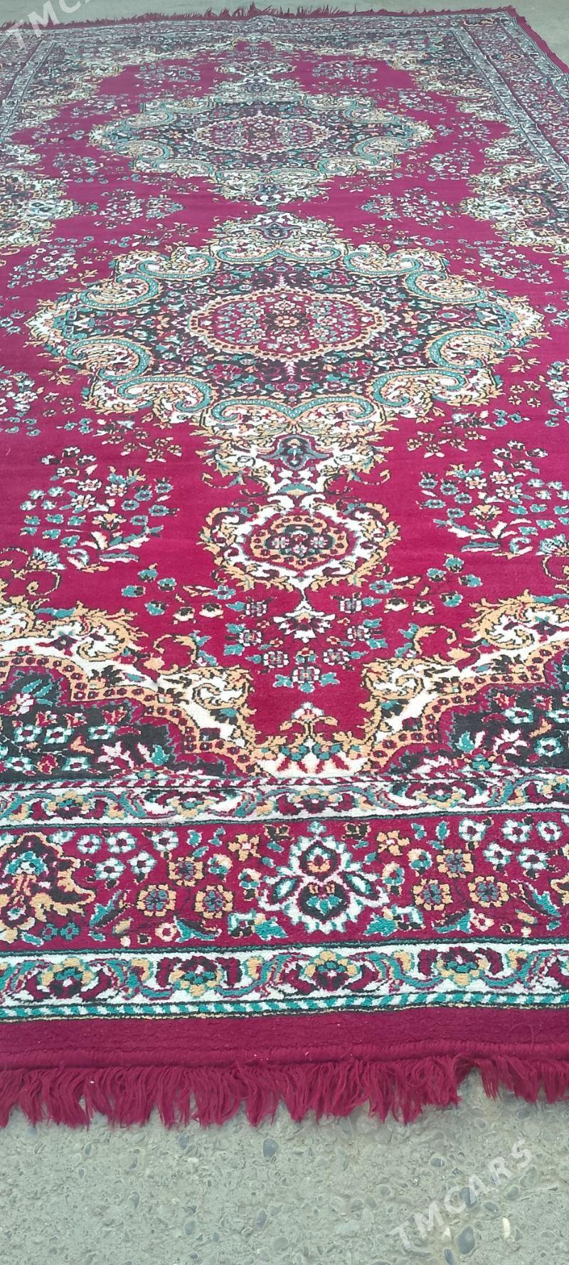 haly - Ашхабад - img 3