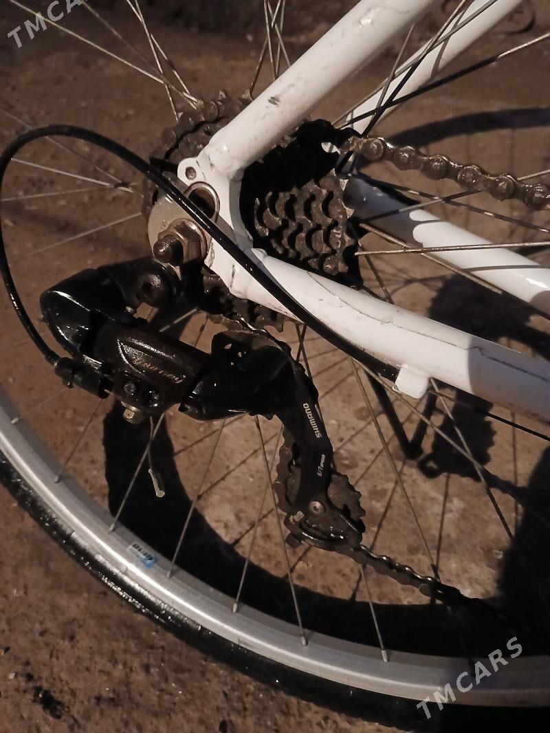 tigir - Daşoguz - img 3