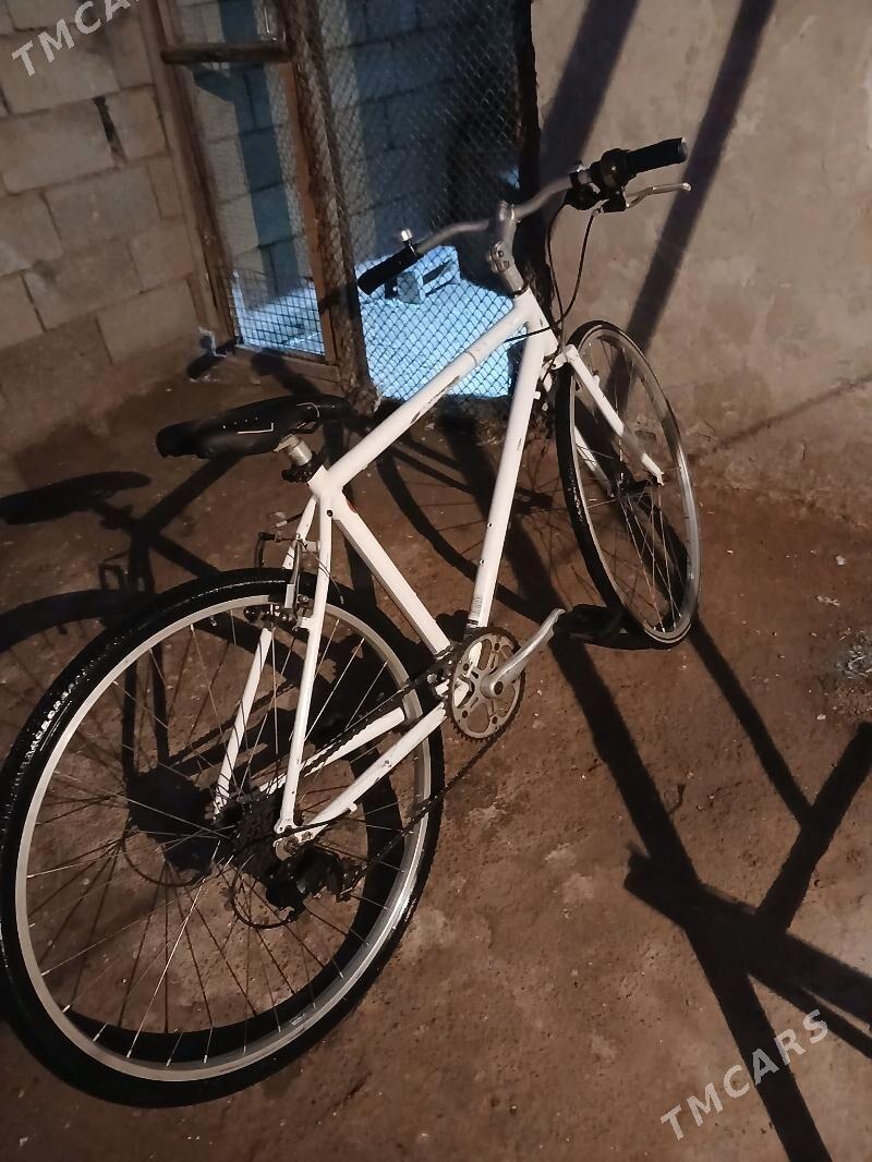 tigir - Daşoguz - img 4