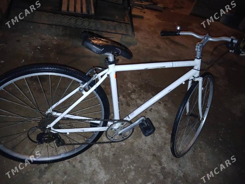 tigir - Daşoguz - img 2