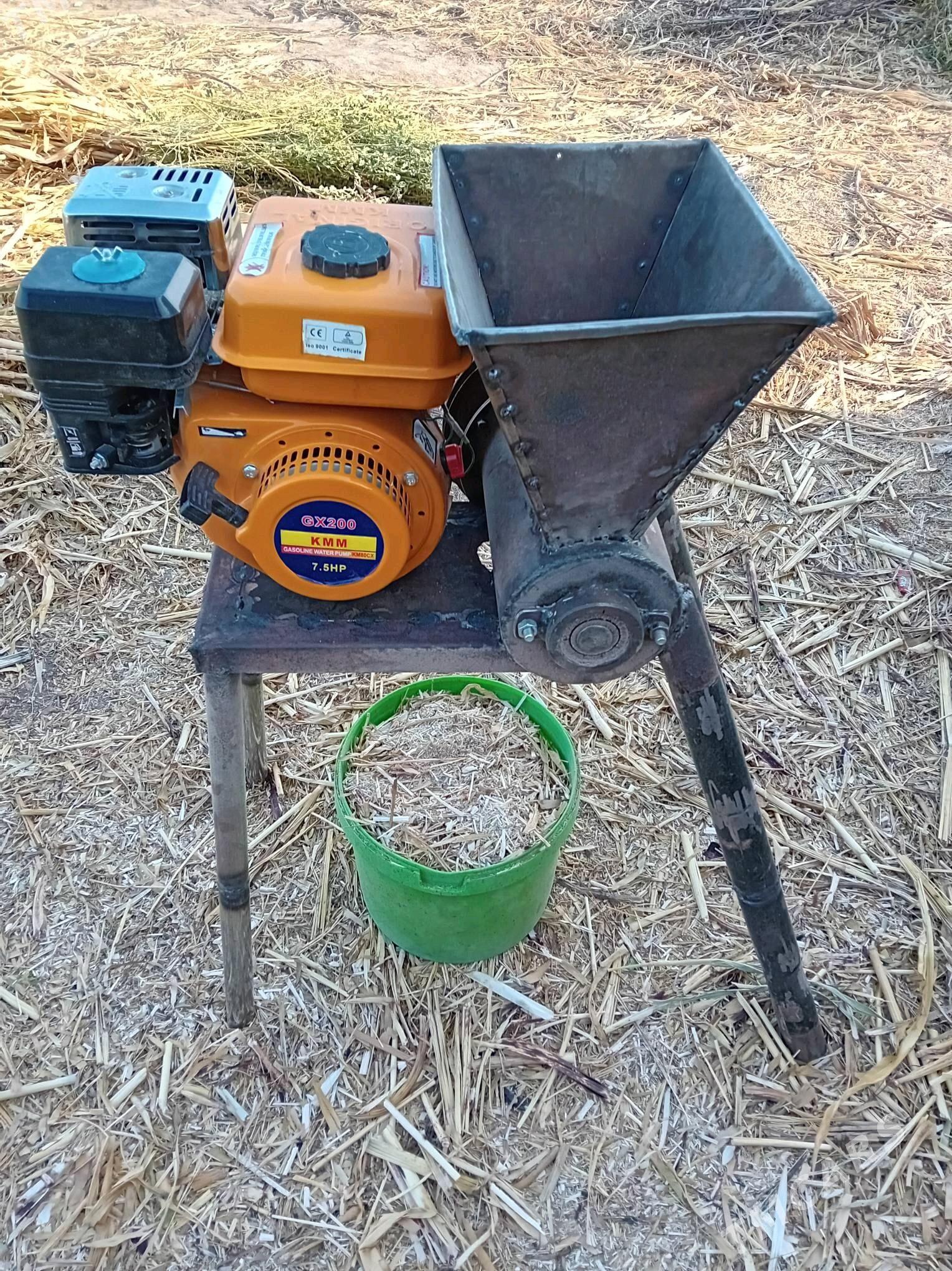 ot uweyan - Köneürgenç - img 2