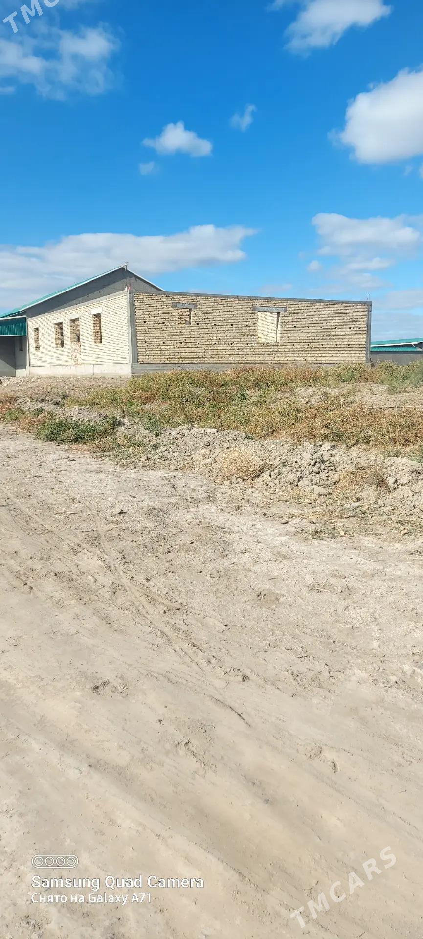 koneurgenç  kizil askarda - Köneürgenç - img 3