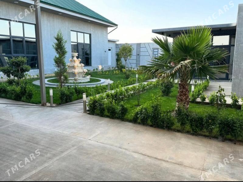 coganly - Ашхабад - img 2