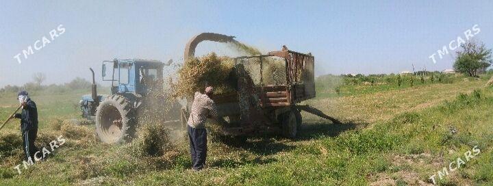 MTZ T-28 1992 - 65 000 TMT - Mary - img 3