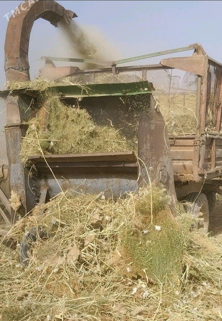 MTZ T-28 1992 - 65 000 TMT - Mary - img 2