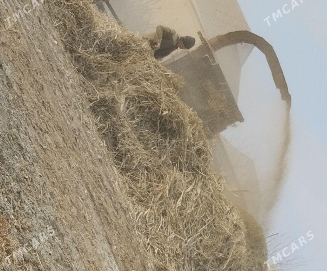 MTZ T-28 1992 - 65 000 TMT - Mary - img 8