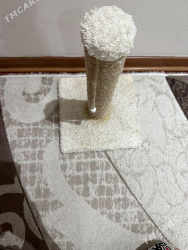 kogtetocka,когтеточка - Ашхабад - img 2