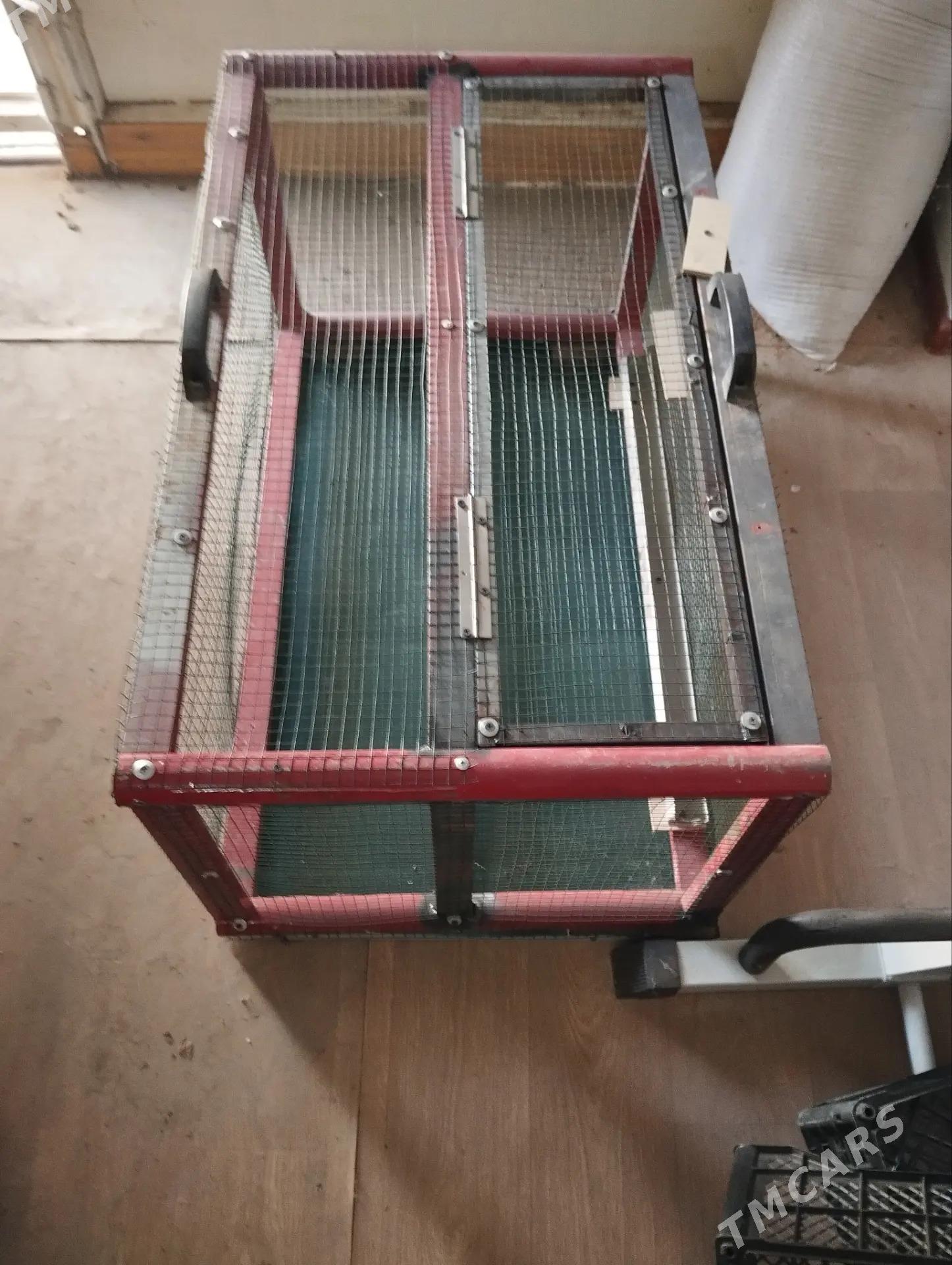 juyje ketek - Bekrewe - img 2