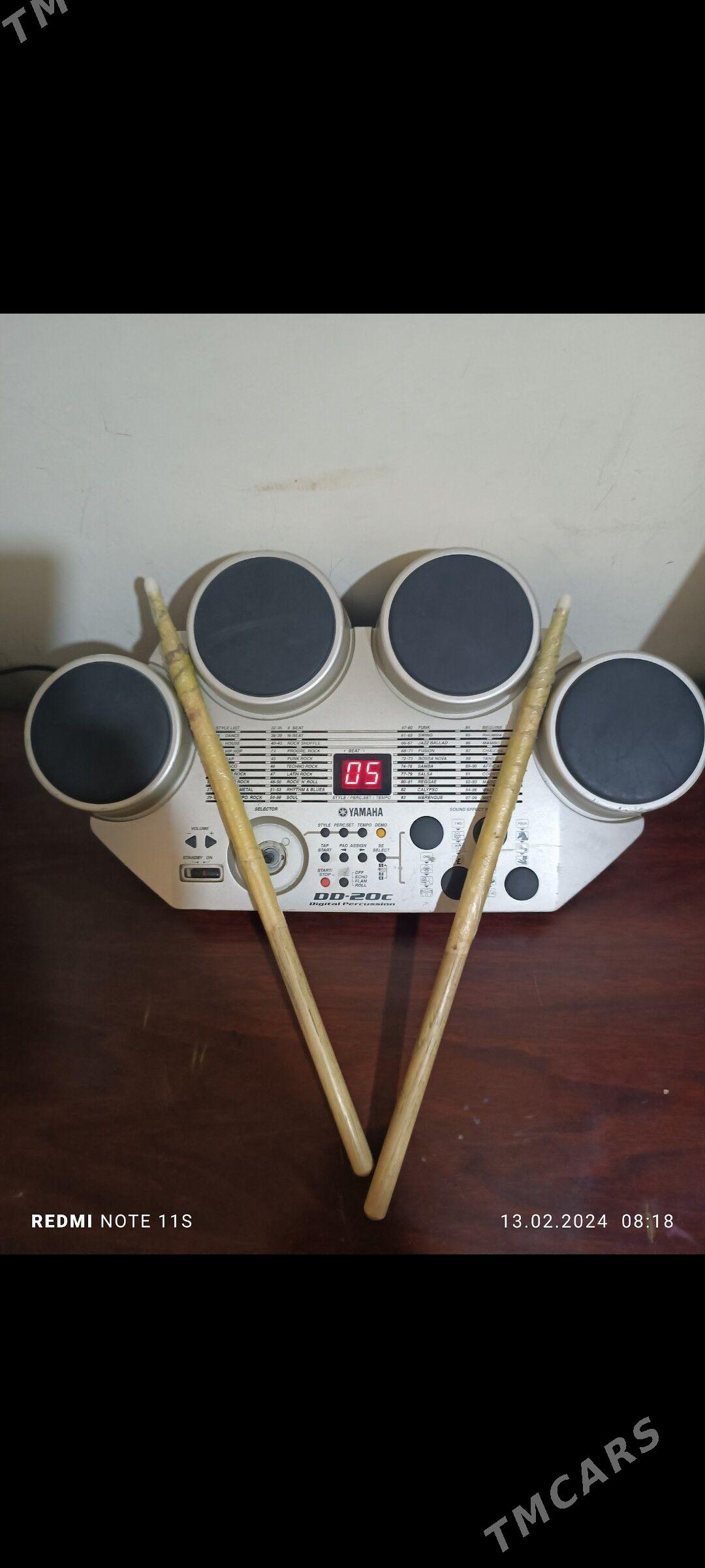 Udarnik bayan - Aşgabat - img 1