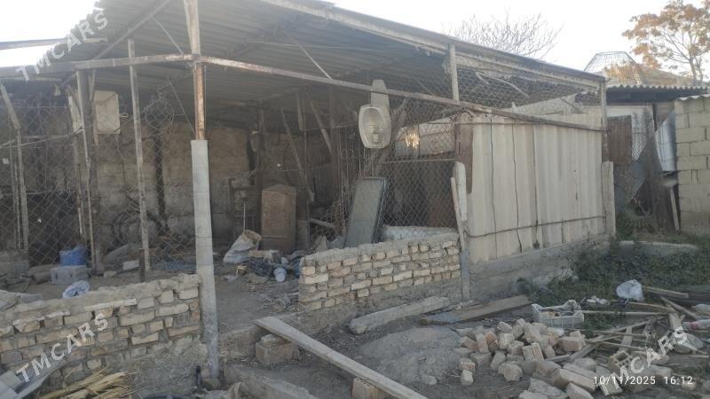 Satlyk jayly mellek - Büzmeýin - img 5