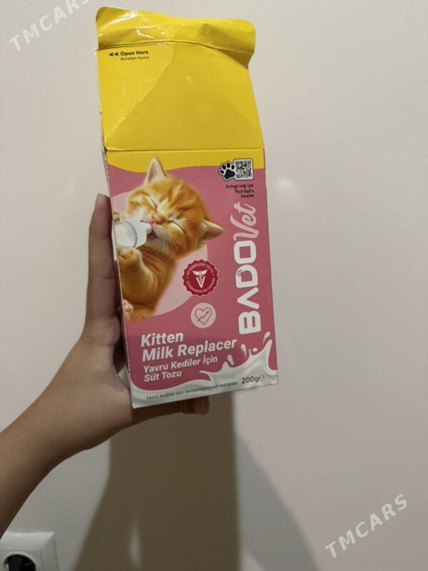 kogtetocka,когтеточка - Ашхабад - img 3