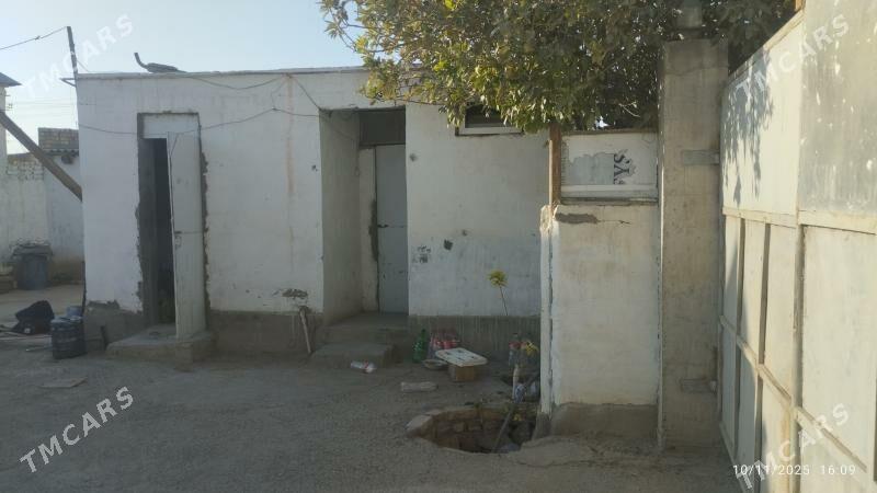 Satlyk jayly mellek - Büzmeýin - img 2