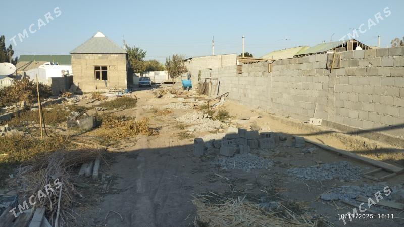 Satlyk jayly mellek - Büzmeýin - img 4