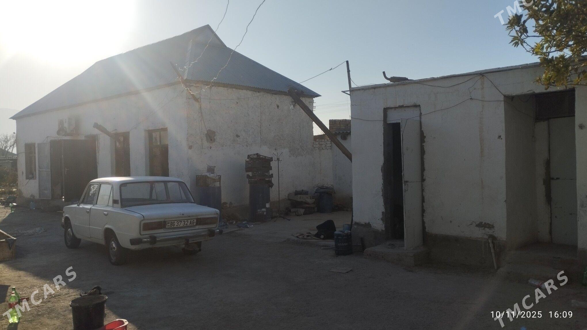 Satlyk jayly mellek - Büzmeýin - img 3