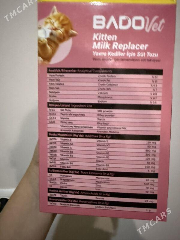 kogtetocka,когтеточка - Ашхабад - img 4