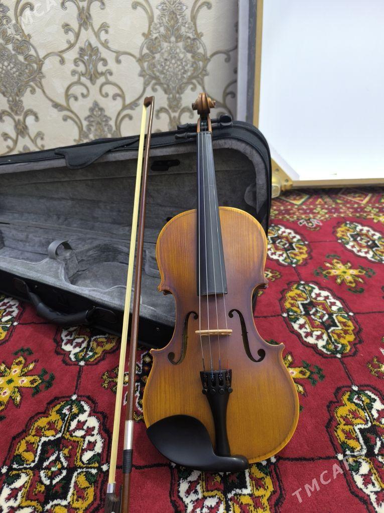 Skripka - Дашогуз - img 4