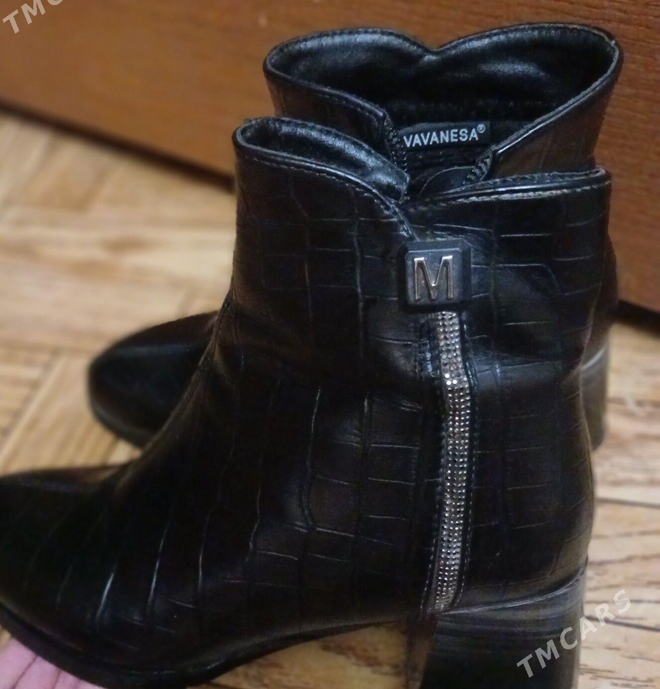 adik - Daşoguz - img 5