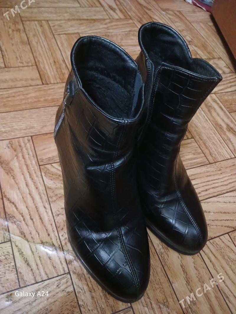 adik - Daşoguz - img 3