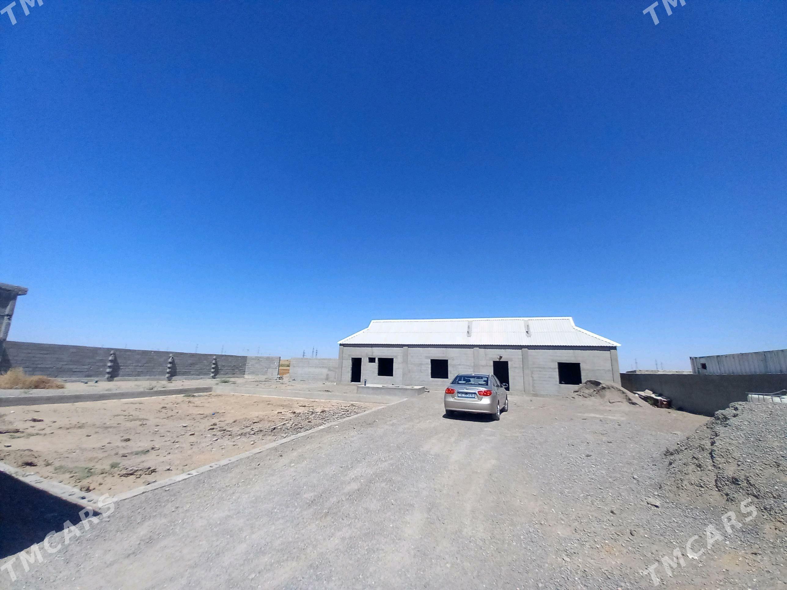 Satlyk jay gyssag - Büzmeýin - img 5