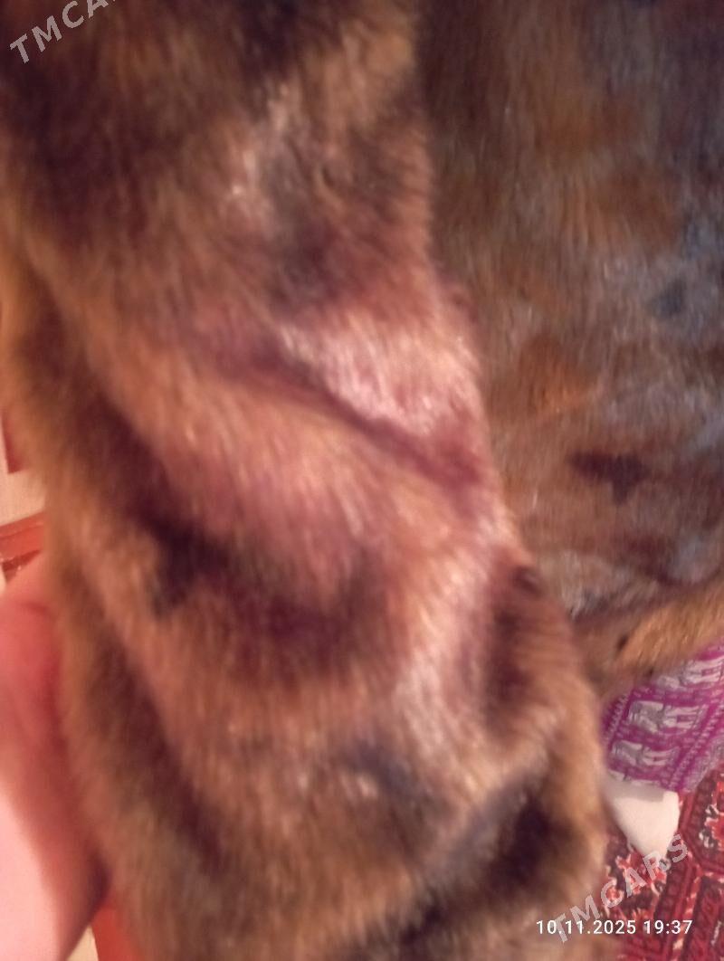 шуба - Мир 3 - img 4