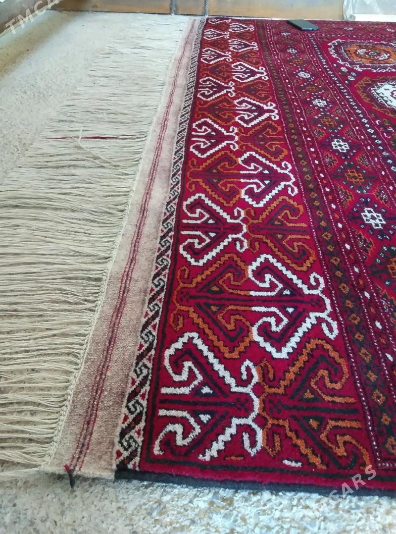 el haly - Bäherden - img 3