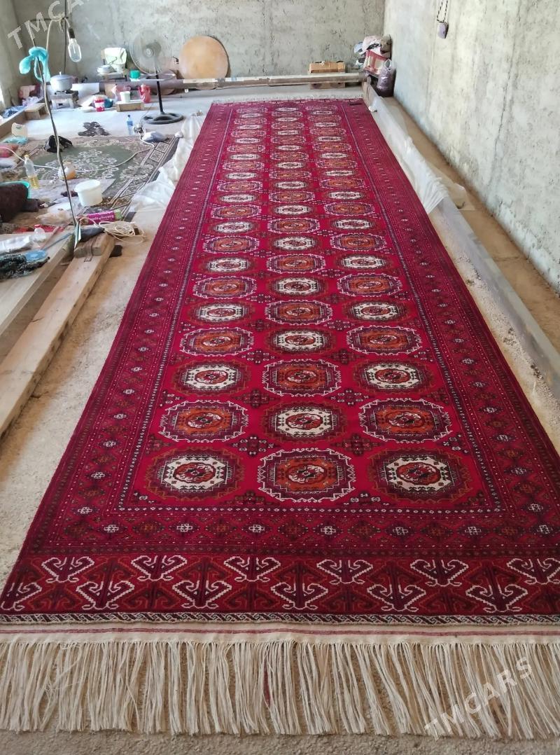 el haly - Bäherden - img 2