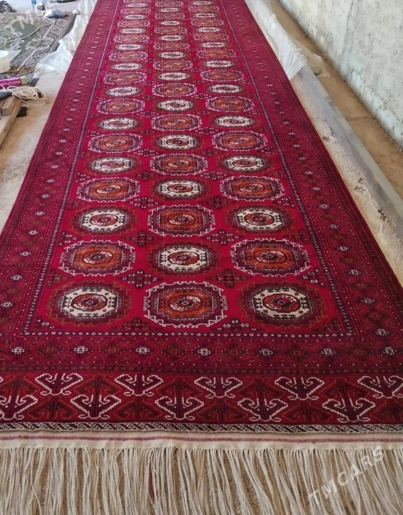 el haly - Bäherden - img 4