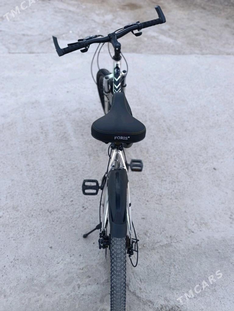 Welik, Tigir. - Балканабат - img 2