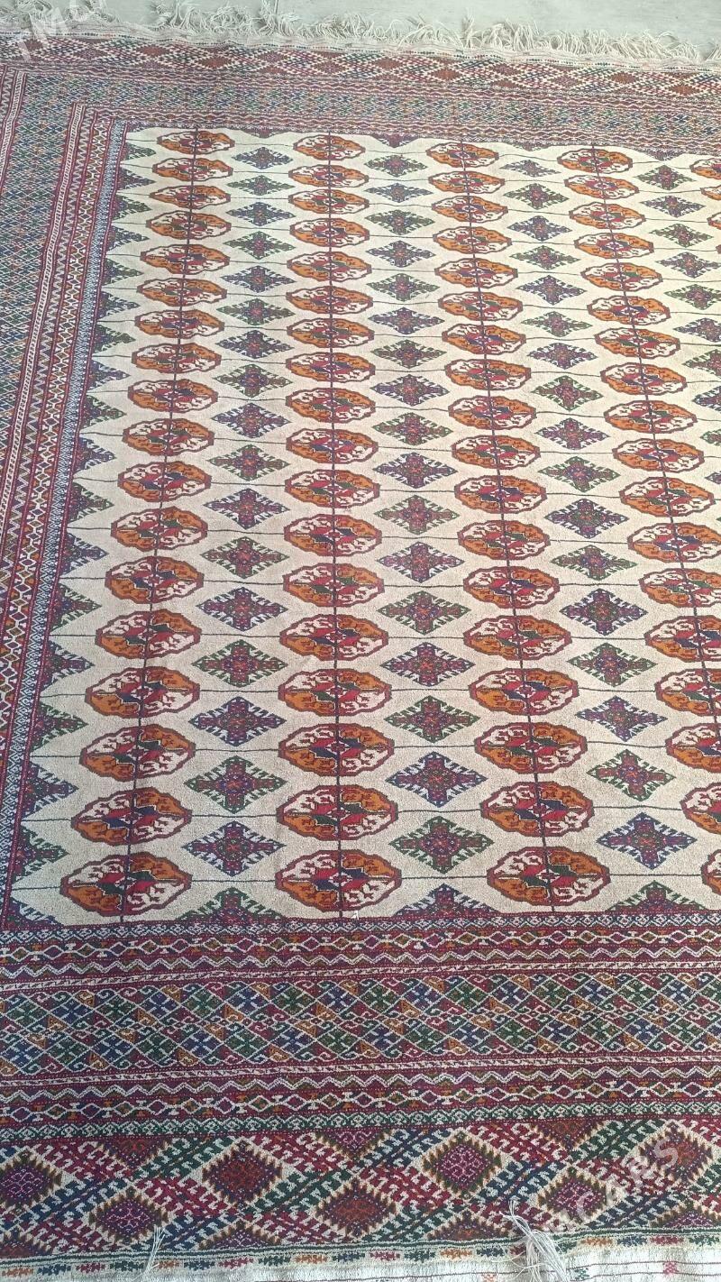 el haly - Бахарден - img 1