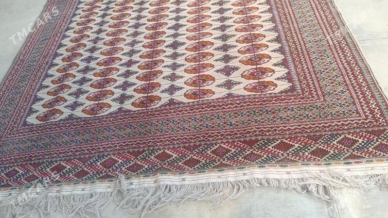 el haly - Бахарден - img 3