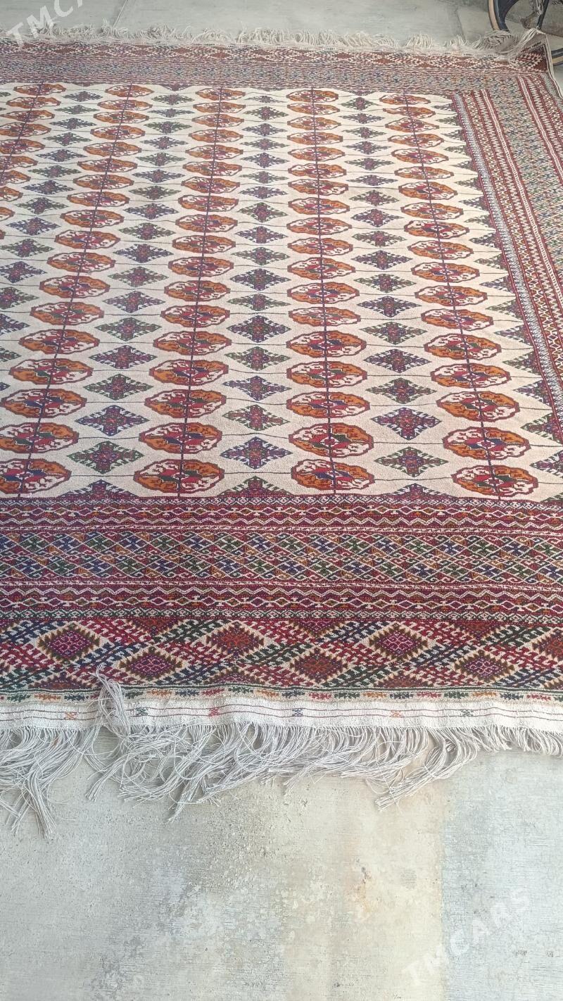 el haly - Бахарден - img 2