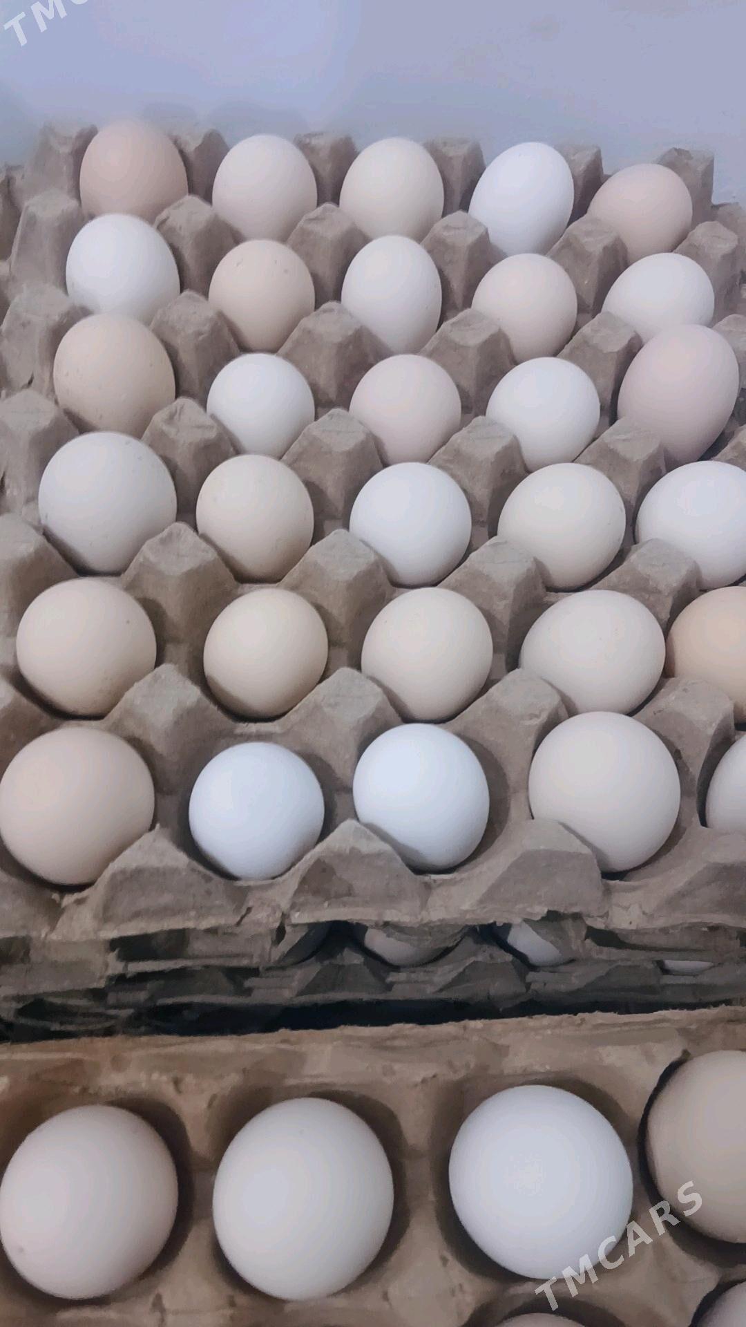 Yumurtga - Теджен - img 2