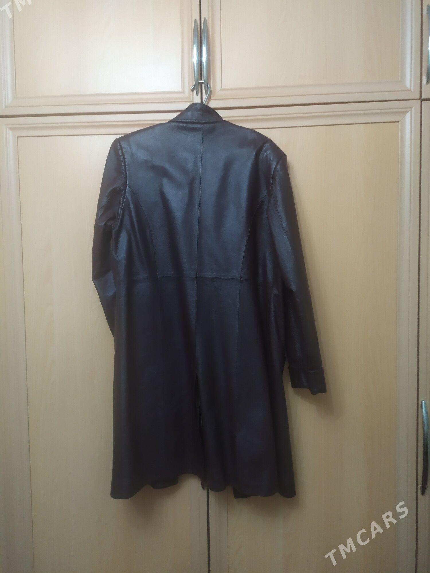 frenç - Ашхабад - img 2