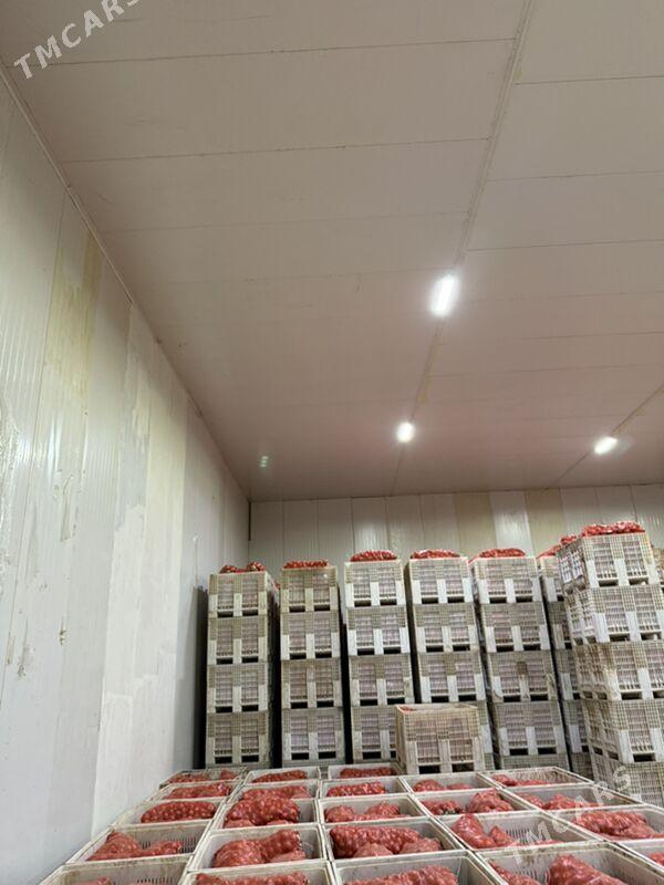 sogan haladilnik - Чоганлы - img 2