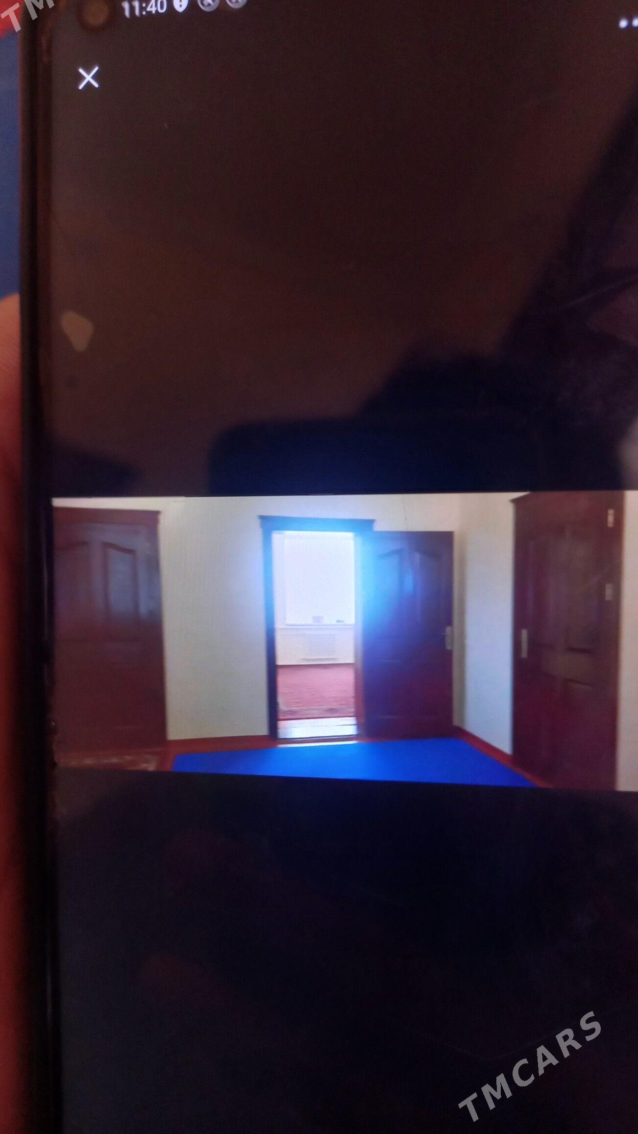 Satlyk jay - Ýolöten - img 2