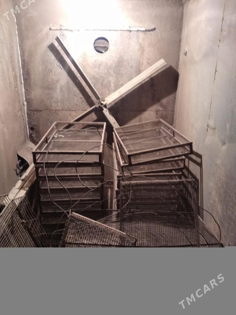 inkibator - Magtymguly - img 5