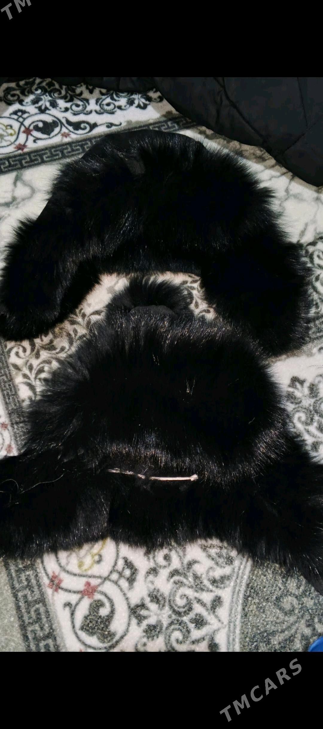 çağa topylary - Дашогуз - img 2