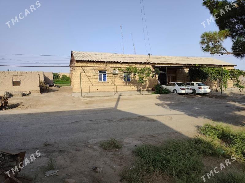 Plan jay - Çärjew - img 3