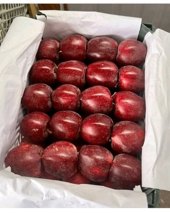 Älem Bazar - Mary - img 3