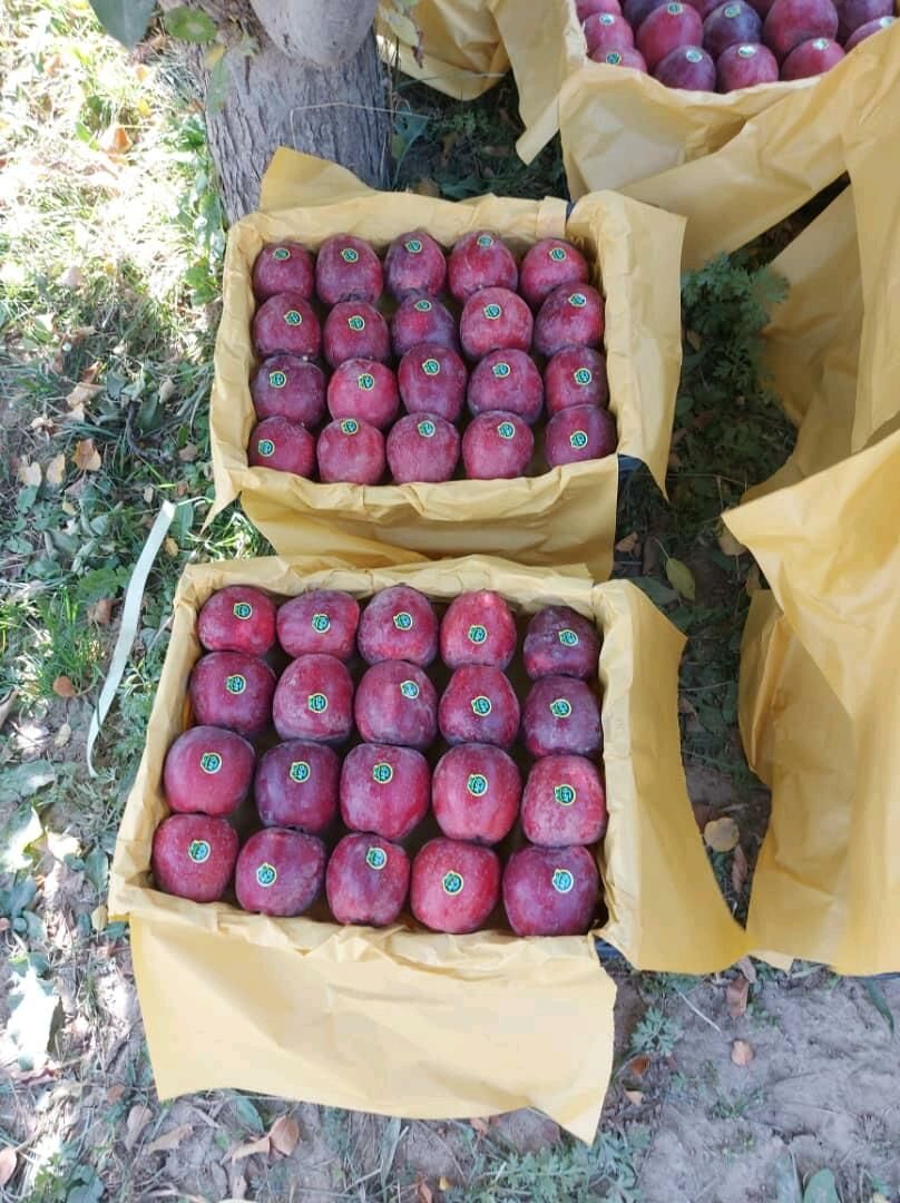 Älem Bazar - Mary - img 2