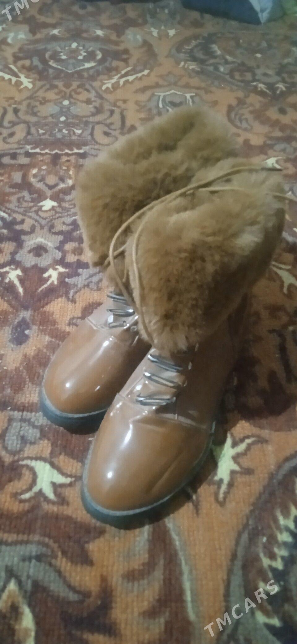 ädik - Çärjew - img 3