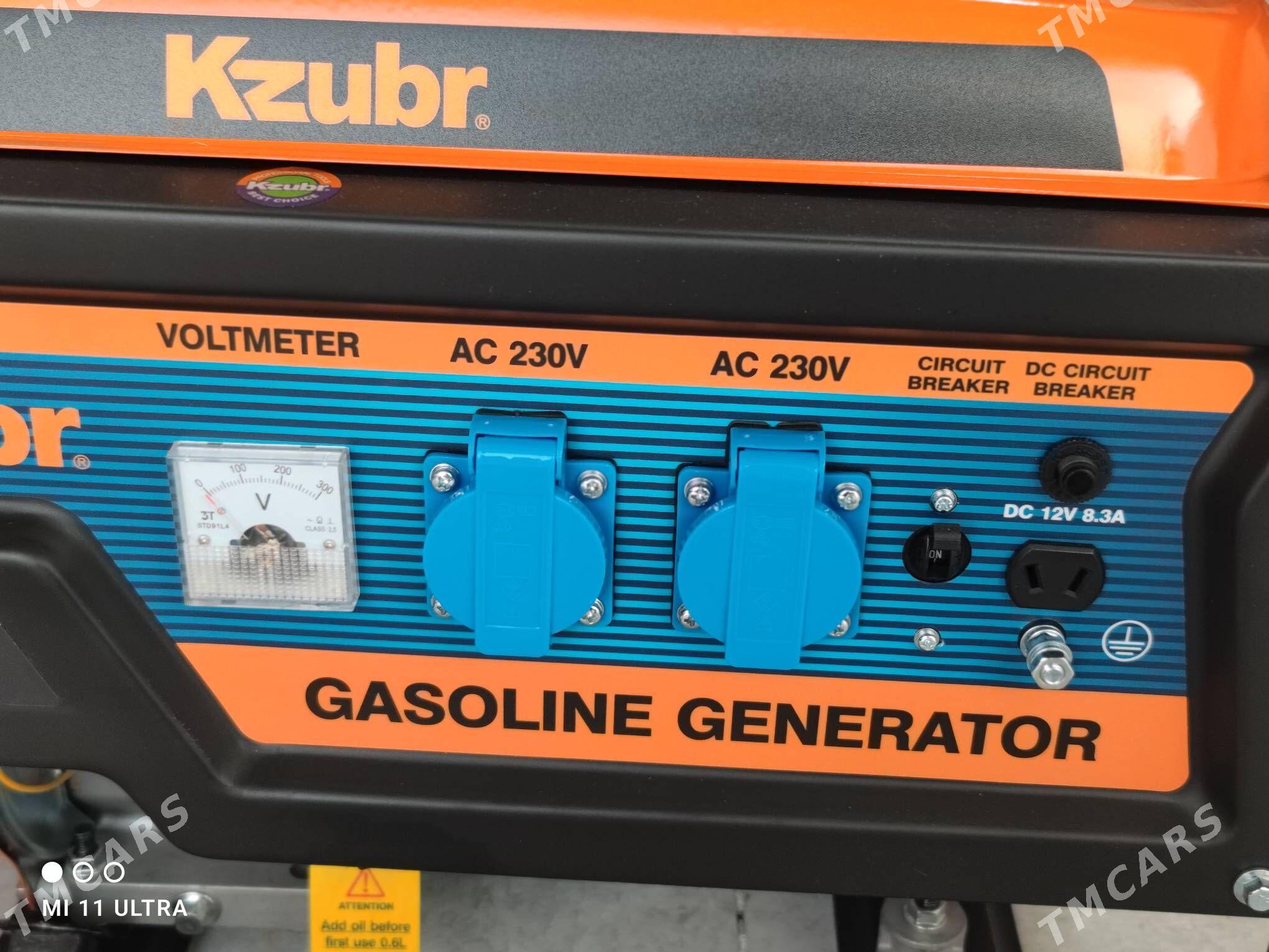 Dwizok Generator - Ашхабад - img 2