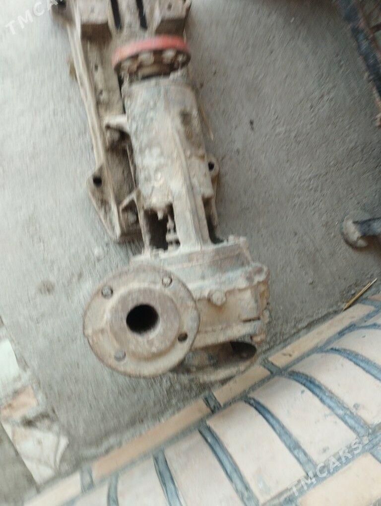 suwçekýen NASOS - Çärjew - img 3