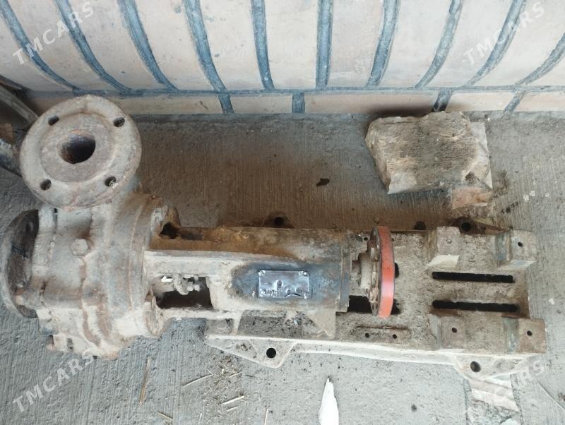 suwçekýen NASOS - Çärjew - img 4