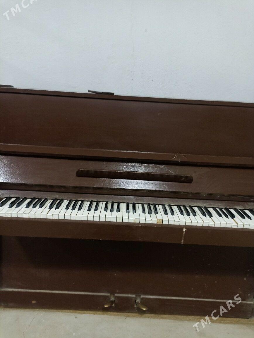 pianino пианино - Balkanabat - img 2