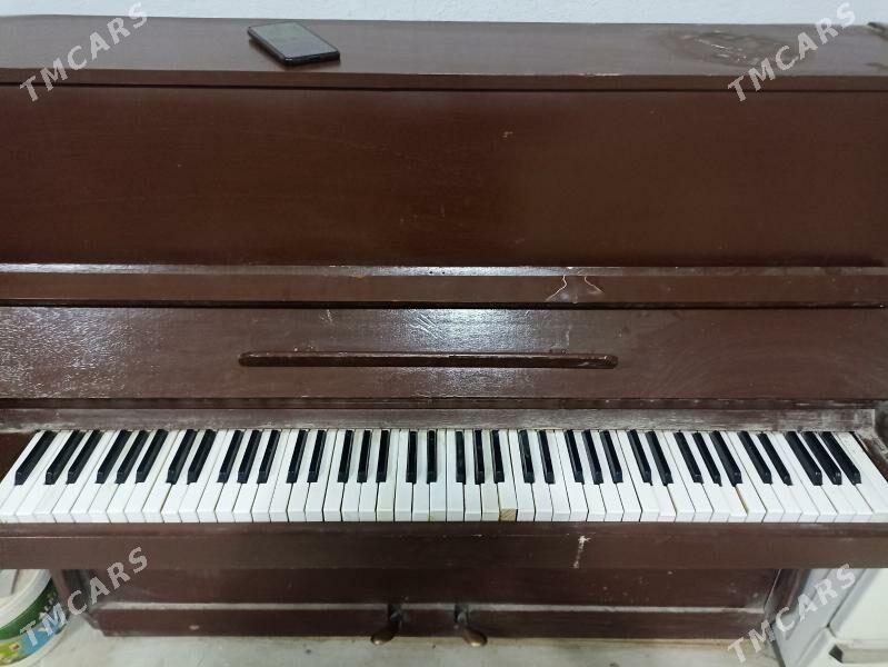 pianino пианино - Balkanabat - img 4