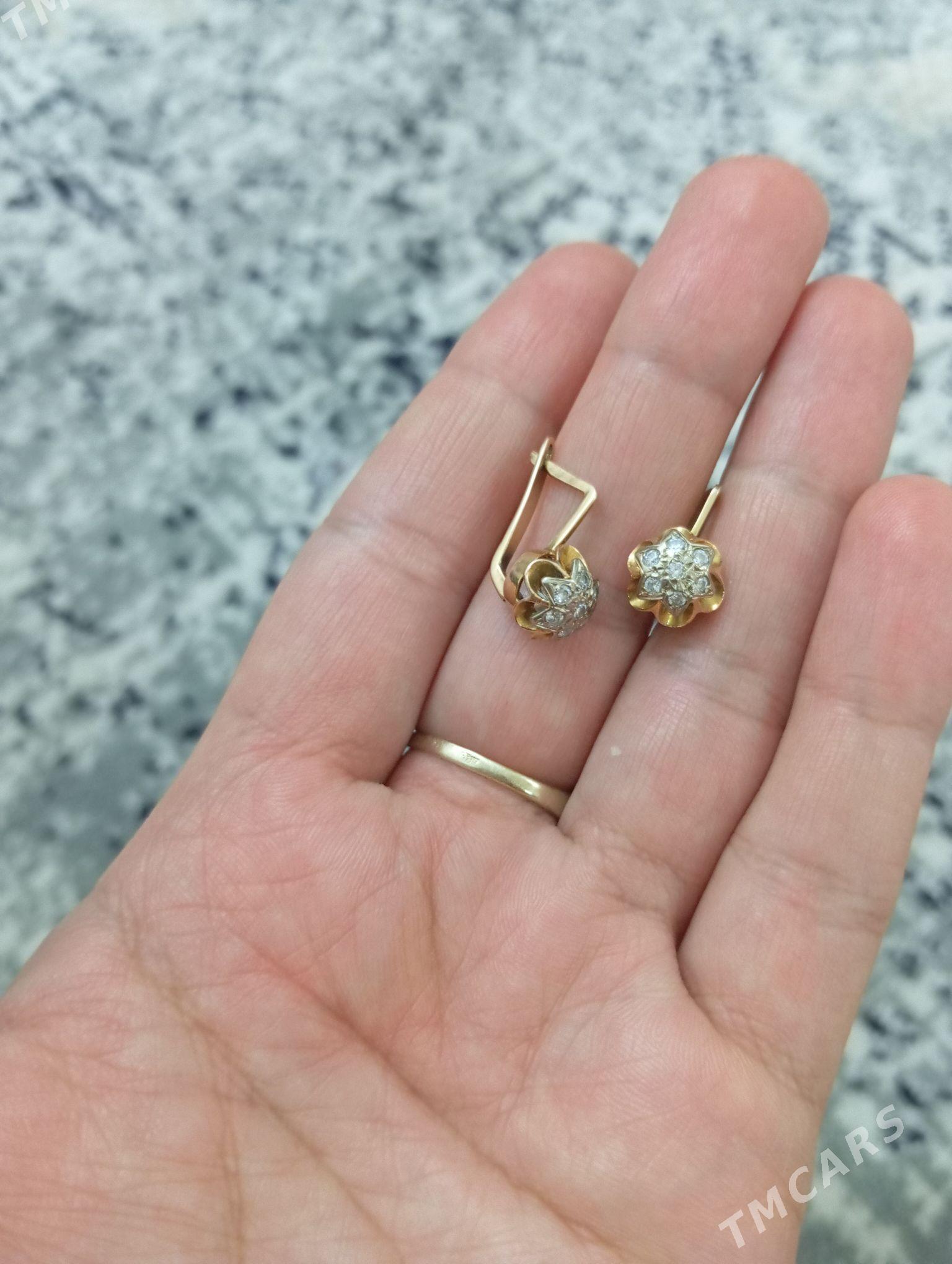 gyzyl gulakhalka - Кëши - img 4